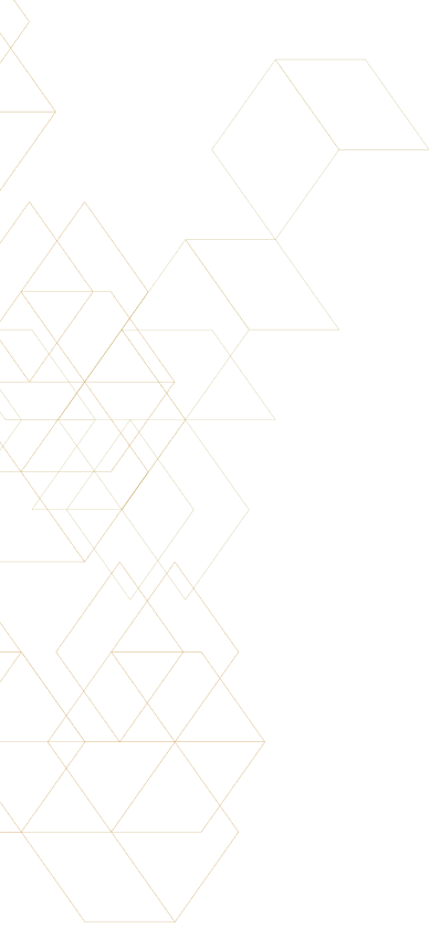 default/image/formas-esquerda.png